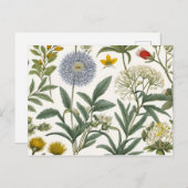 Herbal Harmony Einladungspostkarte (Vorne/Hinten)