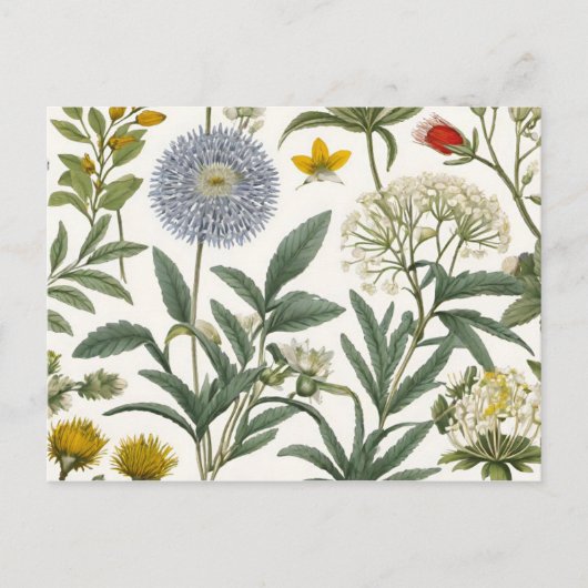 Herbal Harmony Einladungspostkarte (Vorderseite)