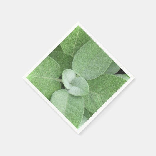 Herbal Napkin Serviette (Ecke)