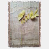 Herbarium V Decke (Vorderseite Vertikal)