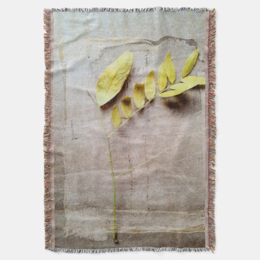 Herbarium V Decke (Vorderseite Vertikal)