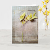 Herbarium V Karte (Gelbe Blume)