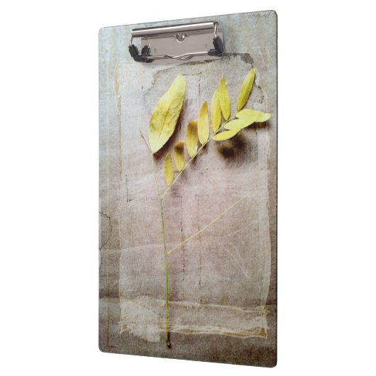 Herbarium V Klemmbrett (Links)