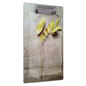 Herbarium V Klemmbrett (Rechts)