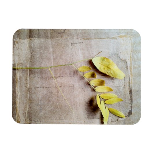 Herbarium V Magnet (Horizontal)