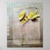 Herbarium V Poster (Vorne)