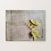 Herbarium V Puzzle (Horizontal)