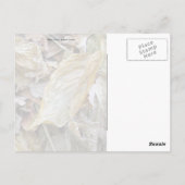 Herberge Postkarte (Rückseite)