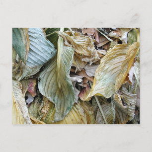 Herberge Postkarte