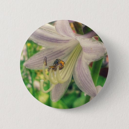 Herberge und Biene Button (Vorderseite)