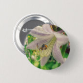 Herberge und Insekt Button (Vorne & Hinten)