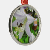 Herberge und Insekt Silbernes Ornament (Rechts)