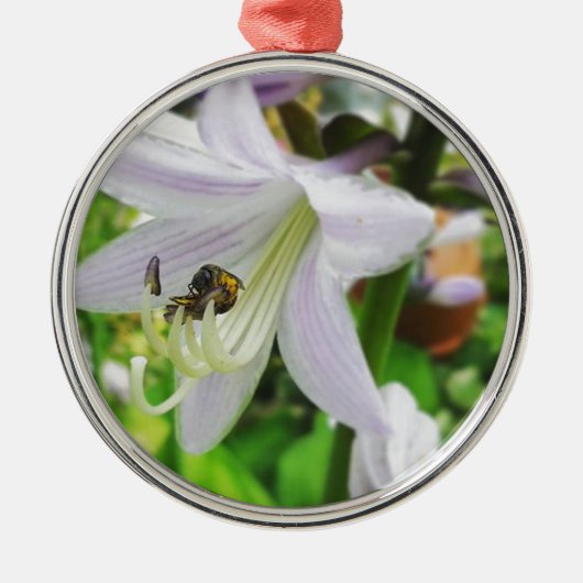 Herberge und Insekt Silbernes Ornament (Vorne)