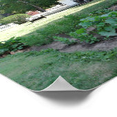 Herbert Hoover Birthplace Hütte, Iowa Poster (Ecke)