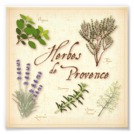 Herbes de Provence Foto Print