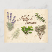 Herbes de Provence Postcard Postkarte (Vorderseite)