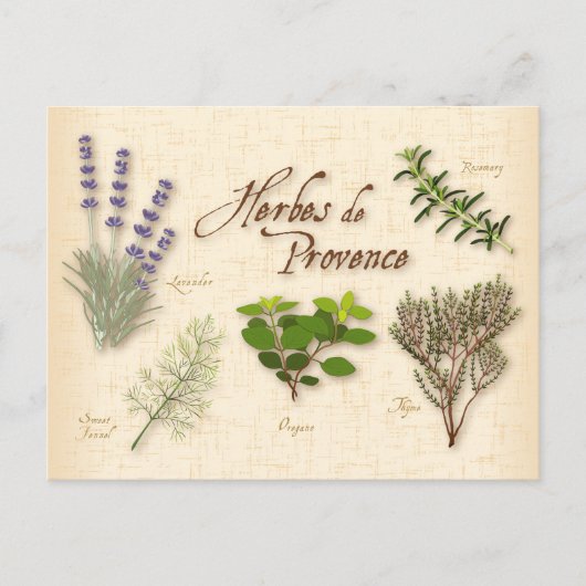 Herbes de Provence Postcard Postkarte (Vorderseite)