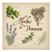 Herbes de Provence Poster (Vorderseite)
