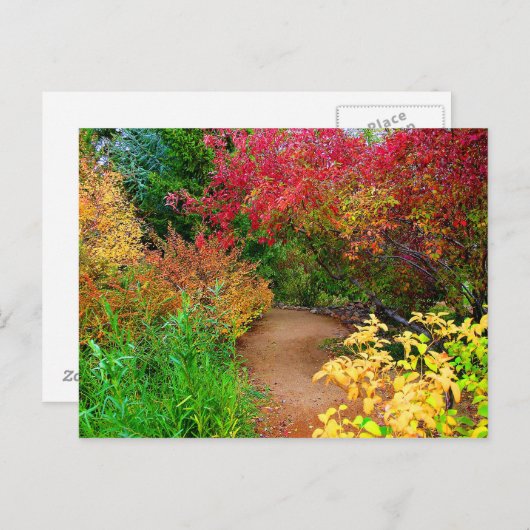 Herbspfad Postkarte (Vorne/Hinten)