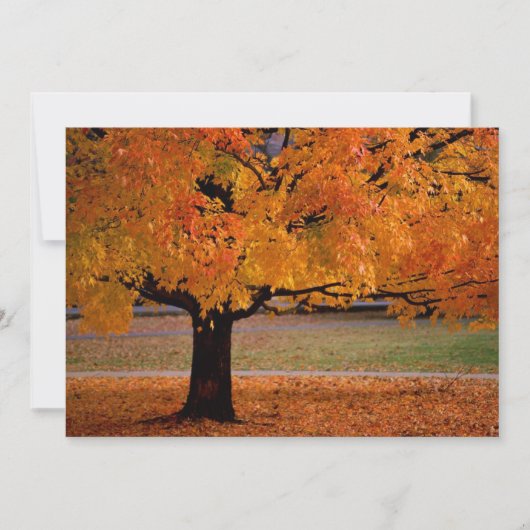 Herbst (1) (Vorderseite)