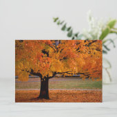 Herbst (1) (Stehend Vorderseite)