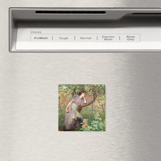 Herbst 1865 magnet (In Situ (Geschirrspüler))