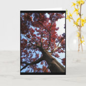 Herbst ~ 18 karte (Gelbe Blume)