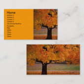 Herbst (1), Name, Anschrift 1, Anschrift 2, Kontak Visitenkarte (Vorne/Hinten)