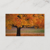 Herbst (1), Name, Anschrift 1, Anschrift 2, Kontak Visitenkarte (Rückseite)