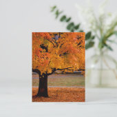 Herbst (1) postkarte (Stehend Vorderseite)