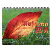 Herbst 2011 kalender (Titelbild)