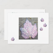 Herbst 2 postkarte (Vorne/Hinten)