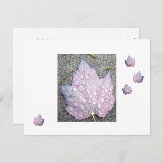 Herbst 2 postkarte (Vorne/Hinten)