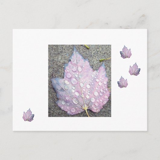 Herbst 2 postkarte (Vorderseite)