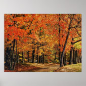 Herbst 30 gesprungen poster (Vorne)