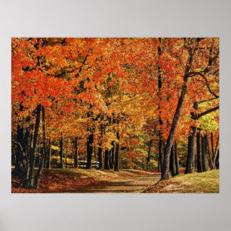 Herbst 30 gesprungen poster