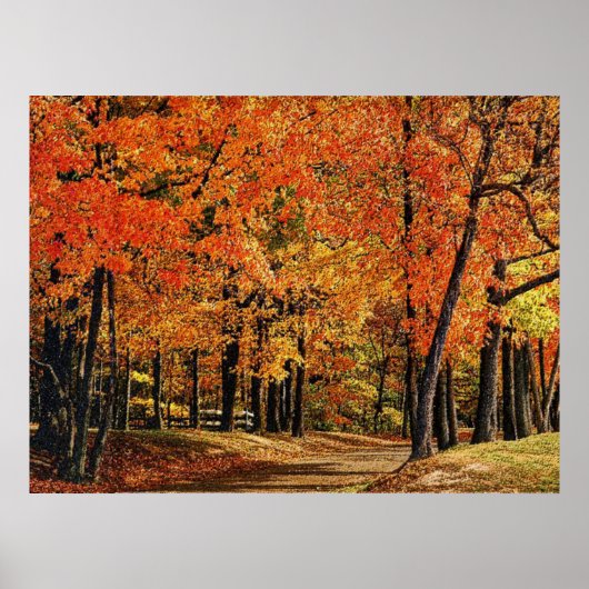 Herbst 30 gesprungen poster (Vorne)