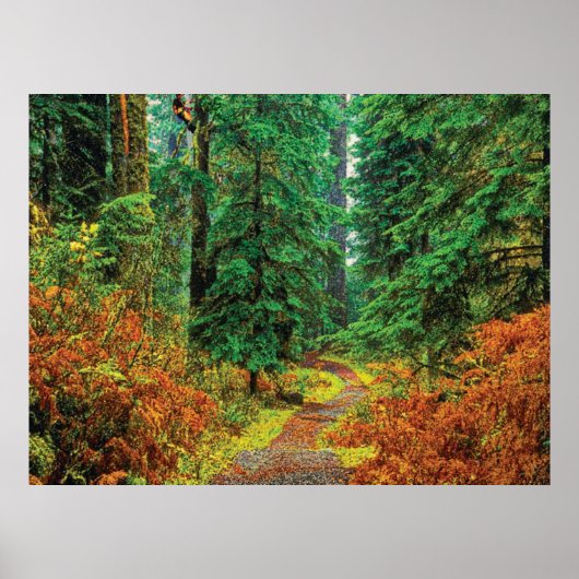 Herbst 31 poster (Vorne)
