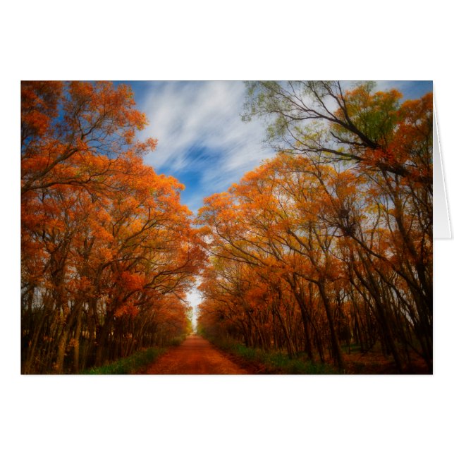 Herbst-Abend (Vorderseite (Horizontal))