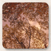 'Herbst Abstrakt' Cork Untersetzer Set (Vorderseite)