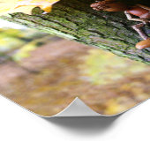 Herbst-Acorn-Elf sitzend auf Ahornbaum Poster (Ecke)