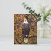 Herbst-Adler-Foto Postkarte (Stehend Vorderseite)