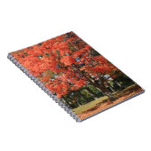 Herbst-Ahorn-Tree-Spiral-Notebook Notizblock (Rechte Seite)