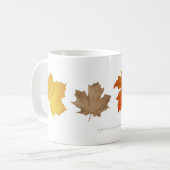 Herbst-Ahorn verlässt Tasse (Vorderseite Links)