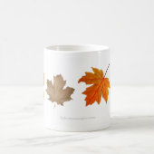 Herbst-Ahorn verlässt Tasse (Mittel)