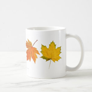 Herbst-Ahorn verlässt Tasse