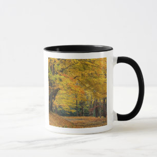 Herbst-Ahornbaum überragt Landstraße, Tasse