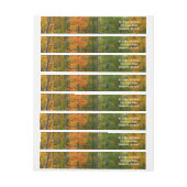 Herbst-Ahornbäume Herbstfotografie (Bogen)