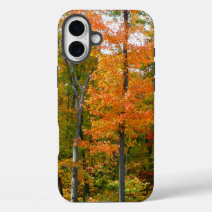 Herbst-Ahornbäume Herbstfotografie iPhone 16 Plus Hülle