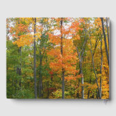 Herbst-Ahornbäume Herbstfotografie Gästebuch (Rückseite)